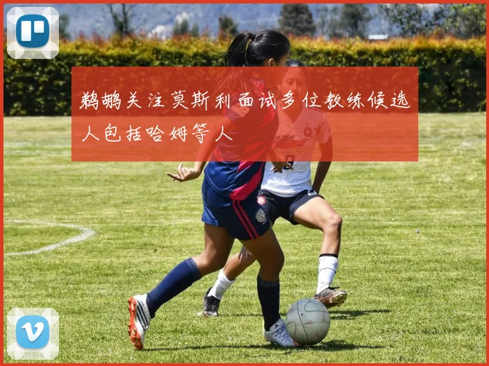 鹈鹕关注莫斯利面试多位教练候选人包括哈姆等人